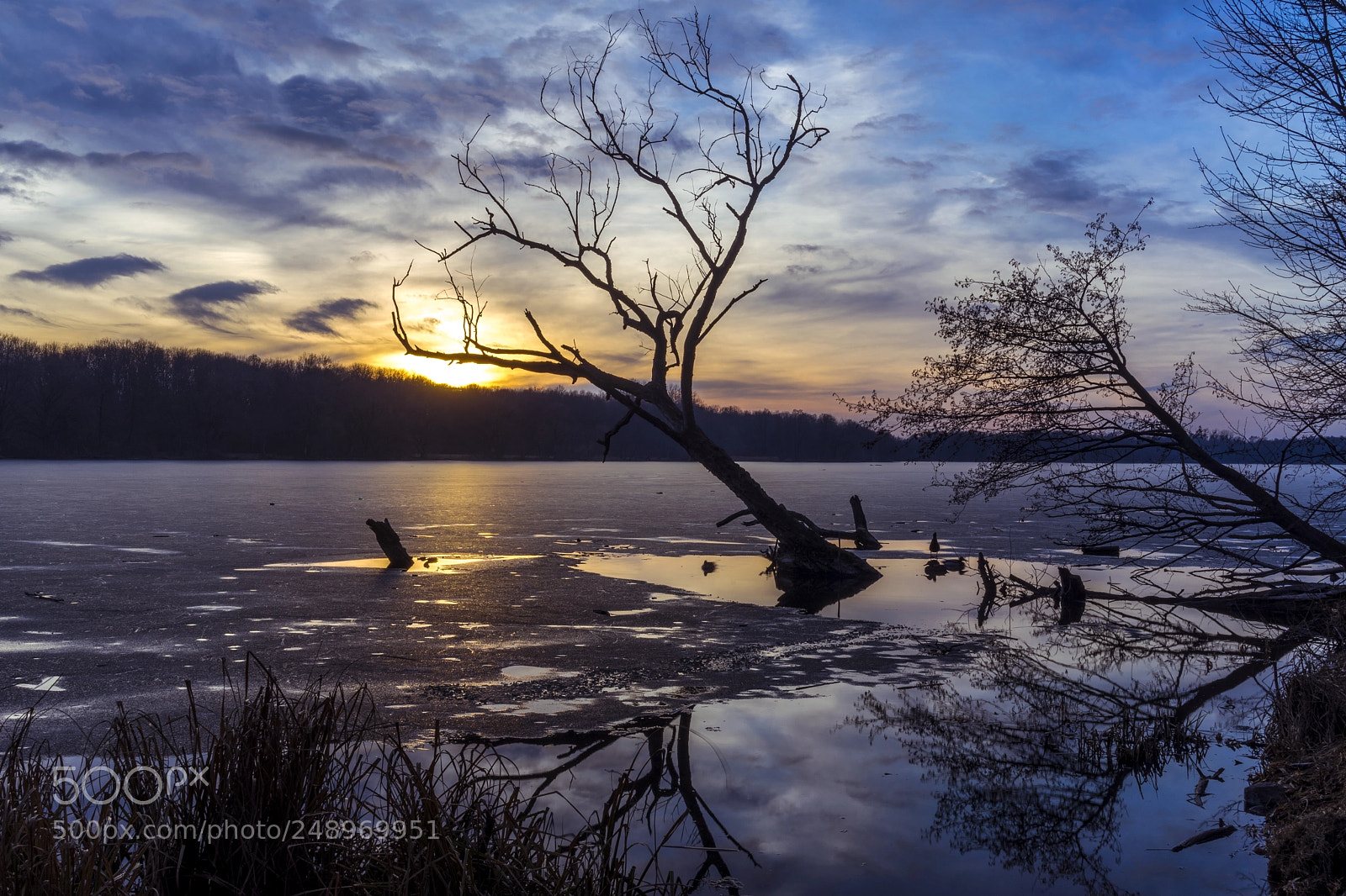 Sony a7 II sample photo. Rusa ka lake at photography