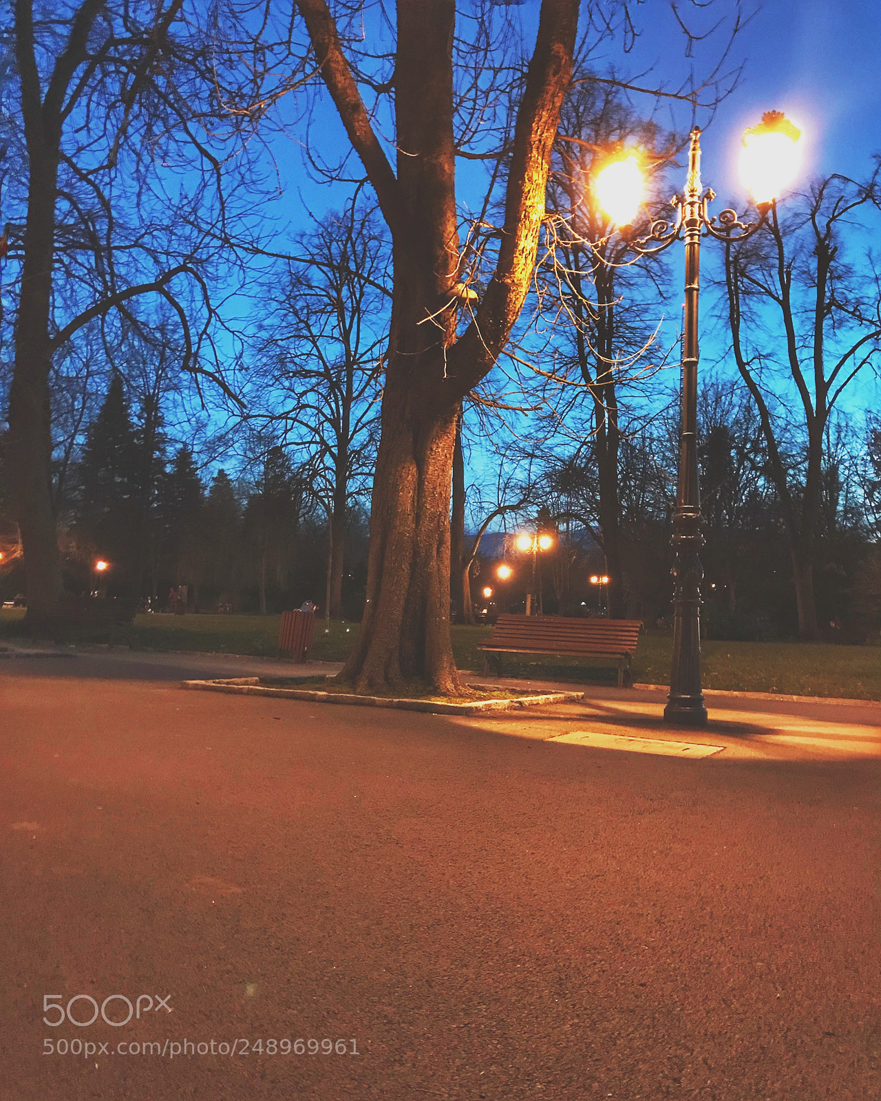 Apple iPhone 7 Plus sample photo. A night walk at photography