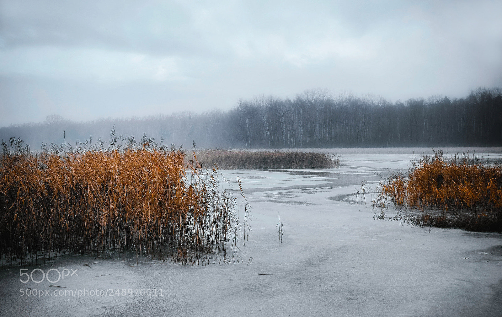 Nikon D60 sample photo. Winter is ending photography