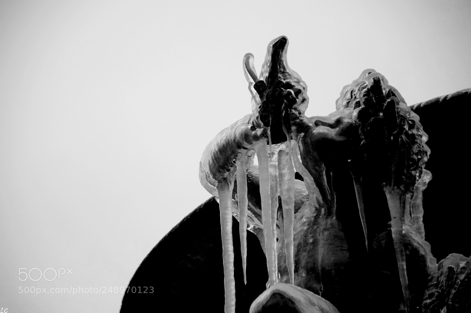 Nikon D5300 sample photo. Frozen photography