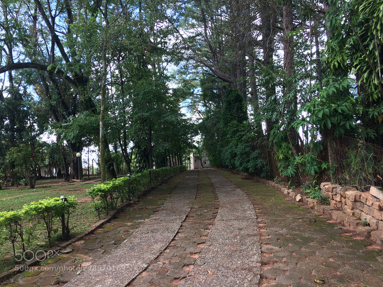 Apple iPhone 5s sample photo. Untitled photography