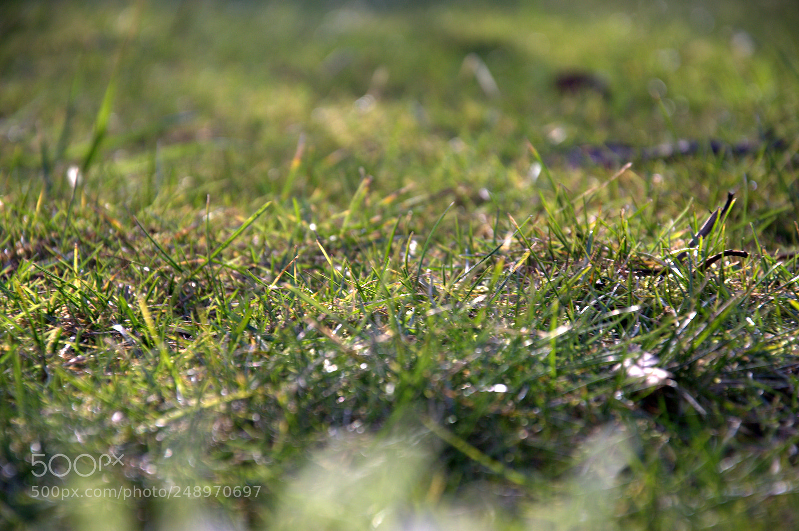Nikon D3100 sample photo. Untitled photography