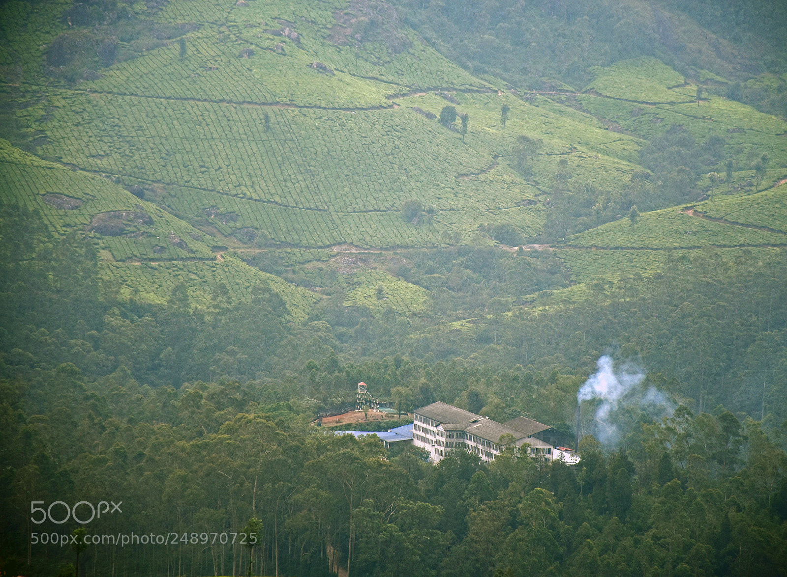 Nikon D5600 sample photo. Munnar, kerala photography