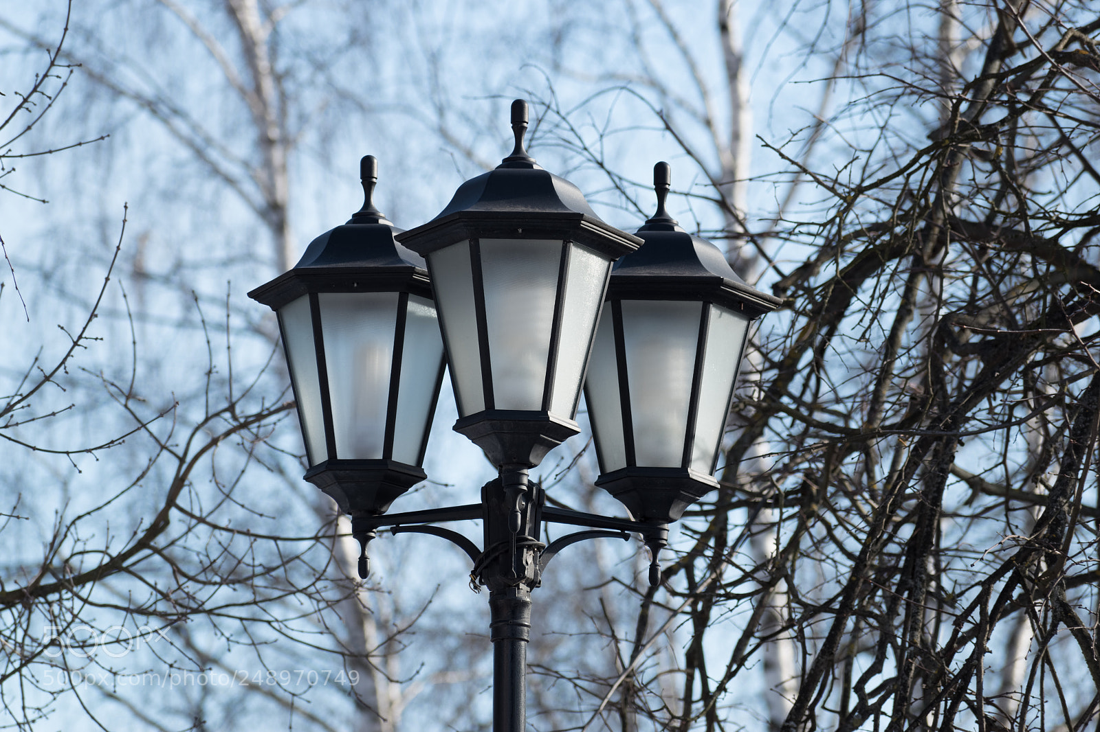 Nikon D5500 sample photo. 6663 photography