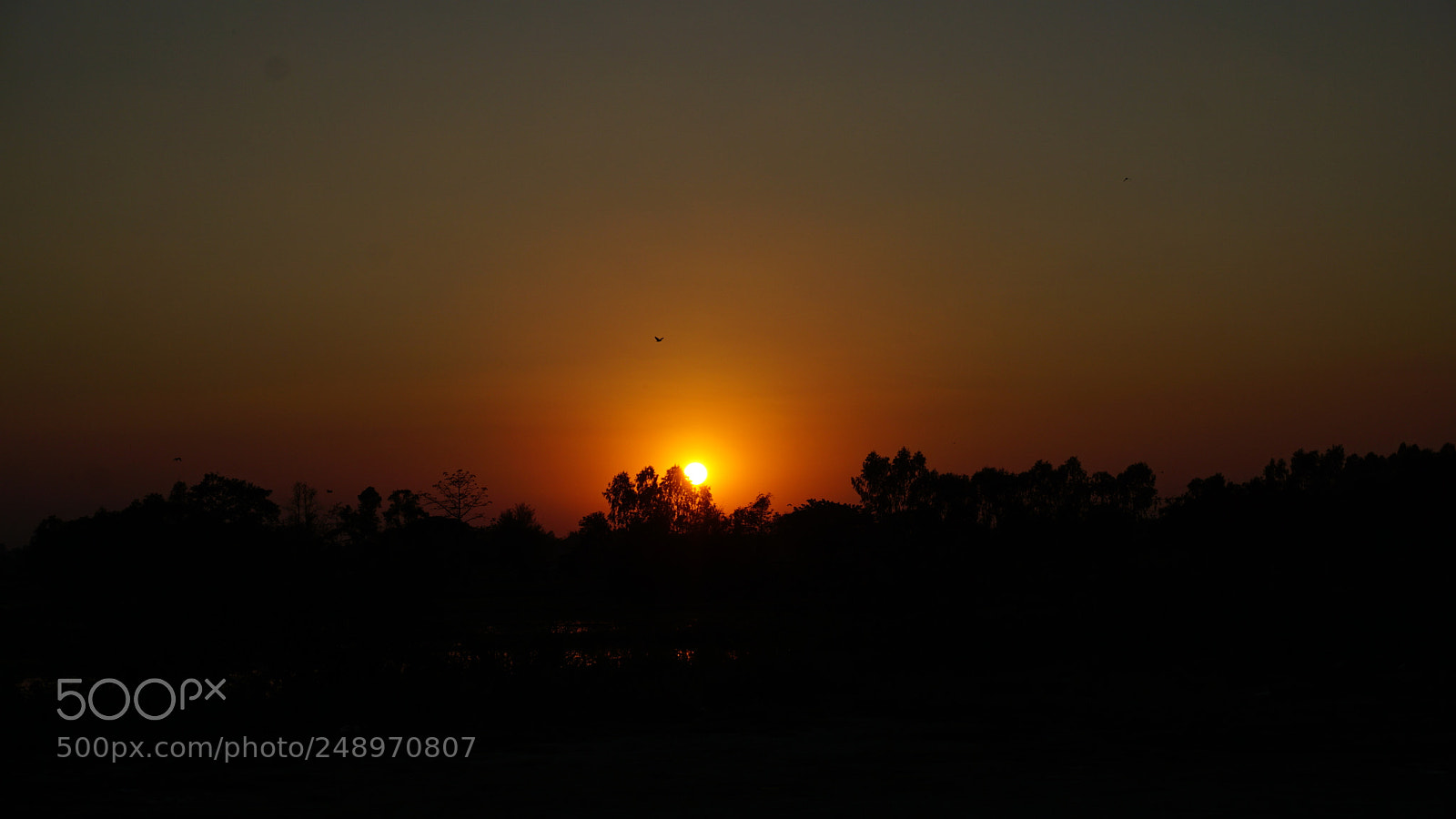 Sony a6000 sample photo. Dsc photography