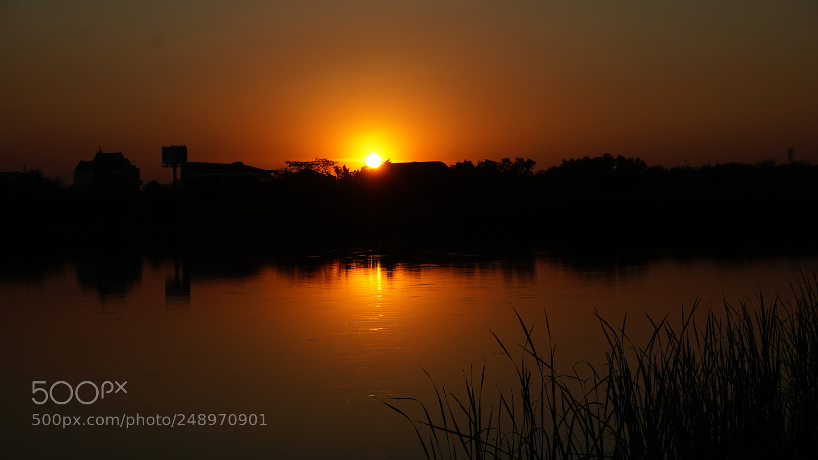 Sony a6000 sample photo. Dsc photography