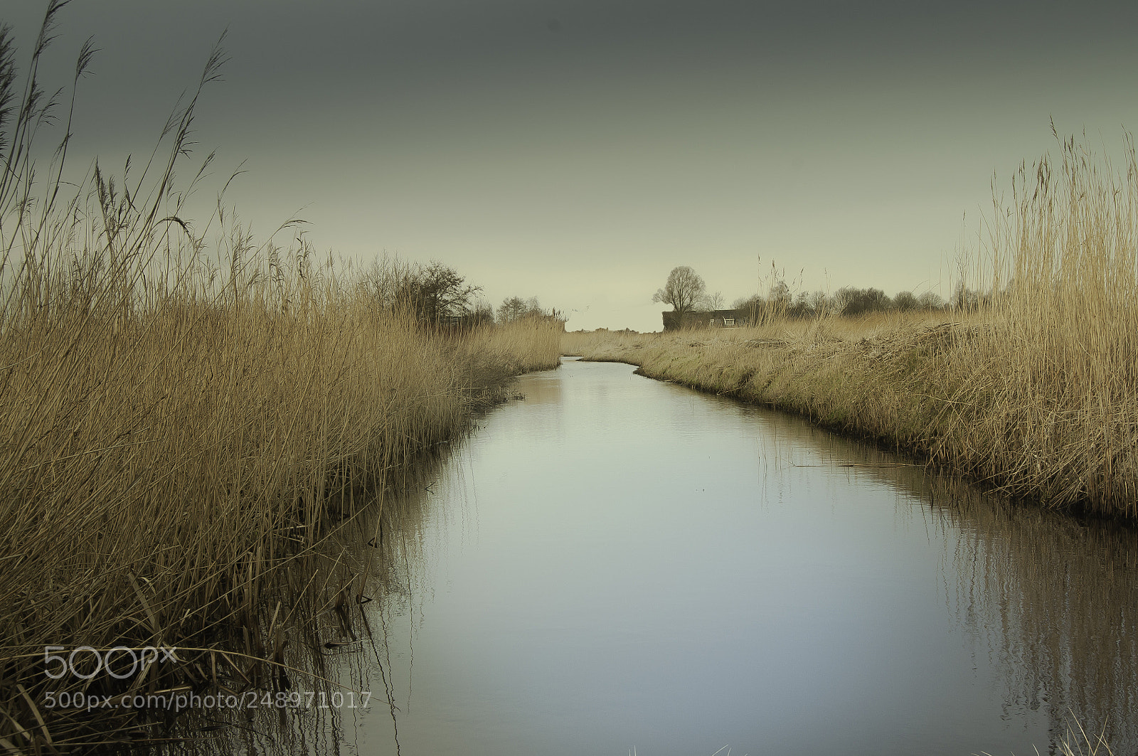 Nikon D5000 sample photo. Landscape photography