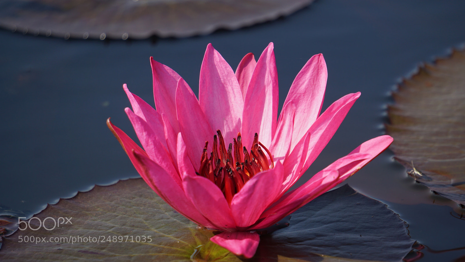 Sony a6000 sample photo. Dsc photography
