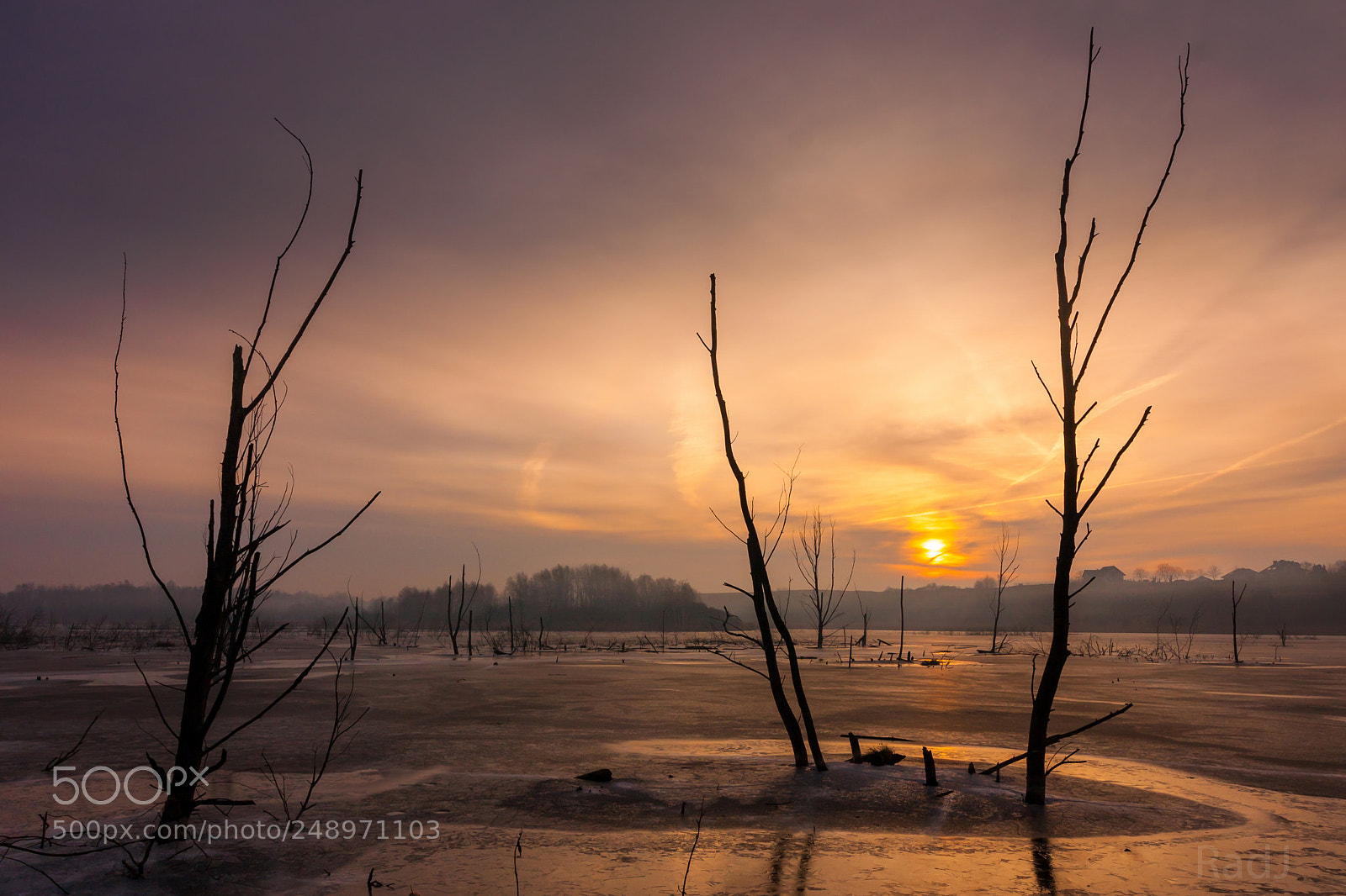 Canon EOS 40D sample photo. Sunrise over the frozen photography