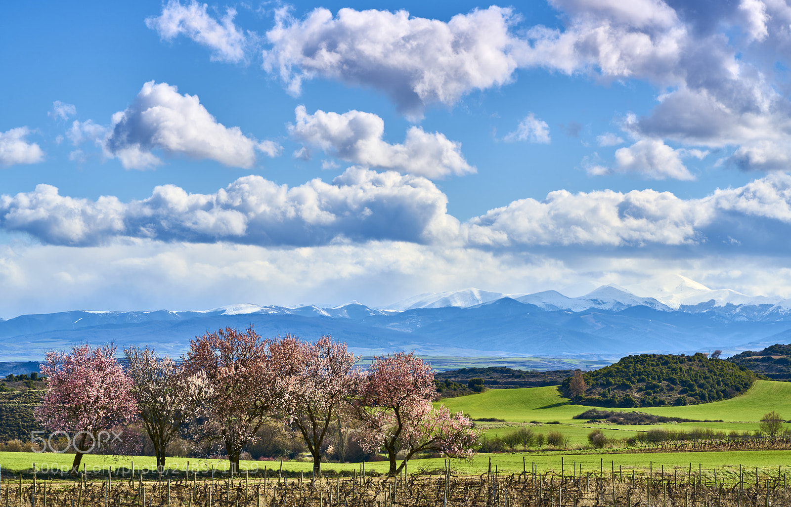 Sony a7R II sample photo. Paisaje de colores photography