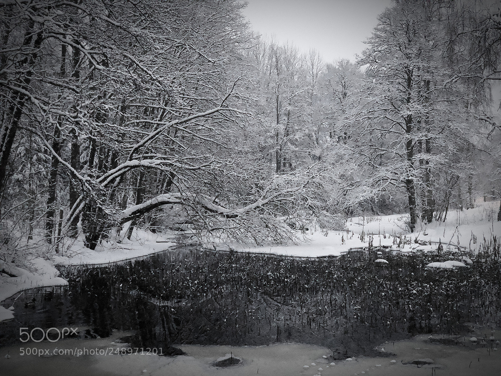 Apple iPhone X sample photo. Winterland photography