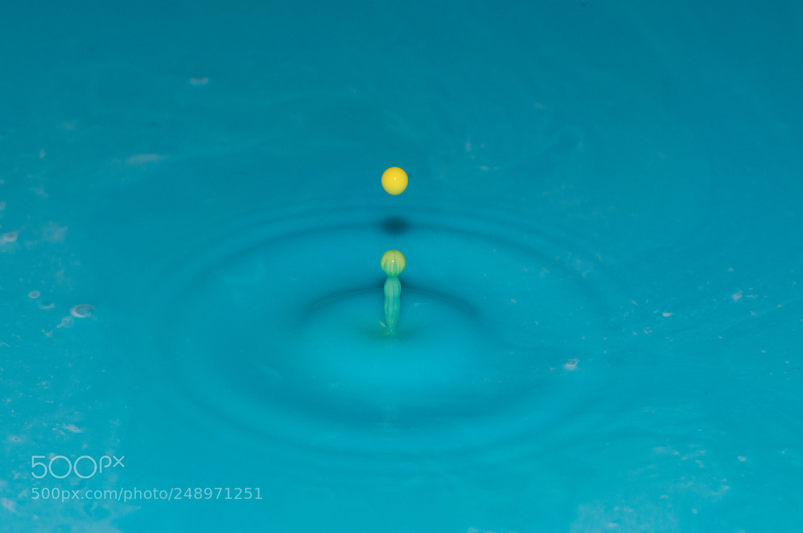 Nikon D800E sample photo. Yellow droplet photography