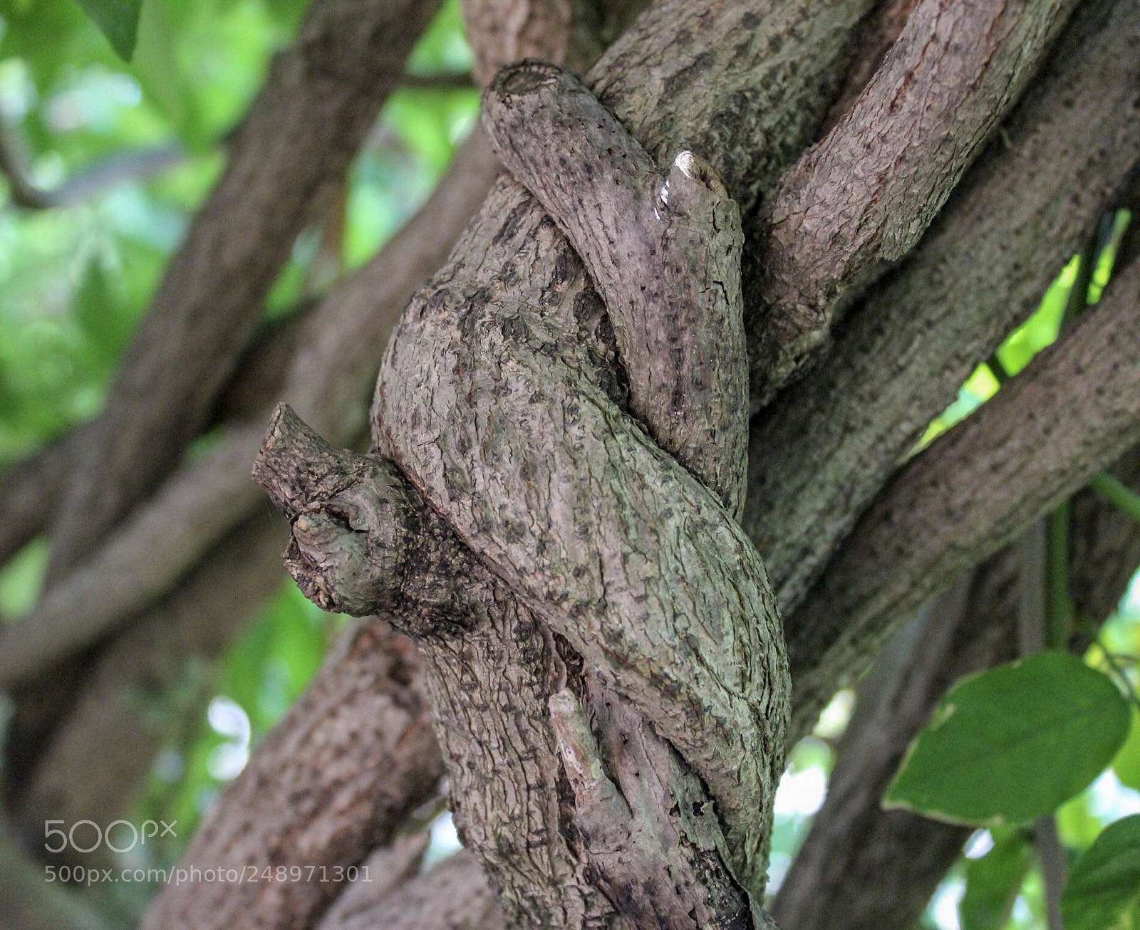 Canon EOS 1200D (EOS Rebel T5 / EOS Kiss X70 / EOS Hi) sample photo. Untitled photography