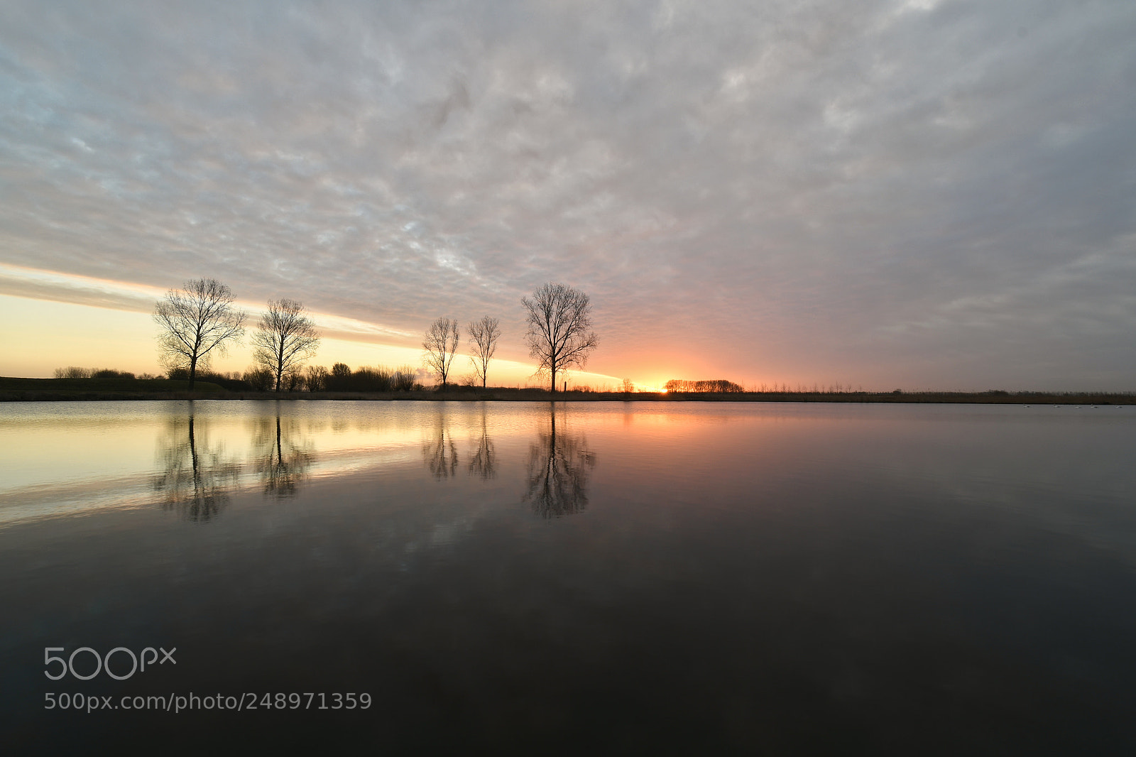 Nikon D7500 sample photo. Morning beams photography