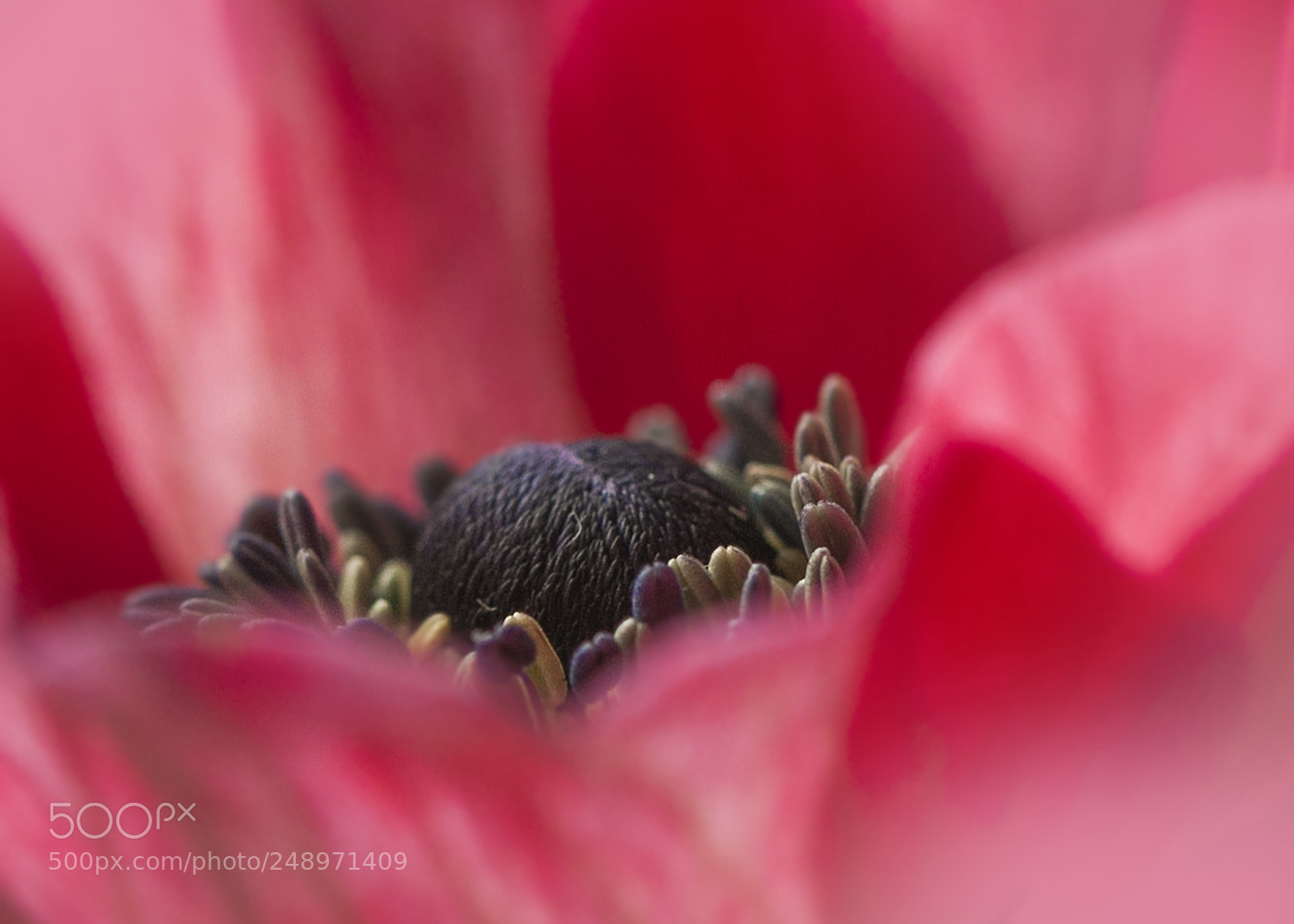 Canon EOS 50D sample photo. Inside photography