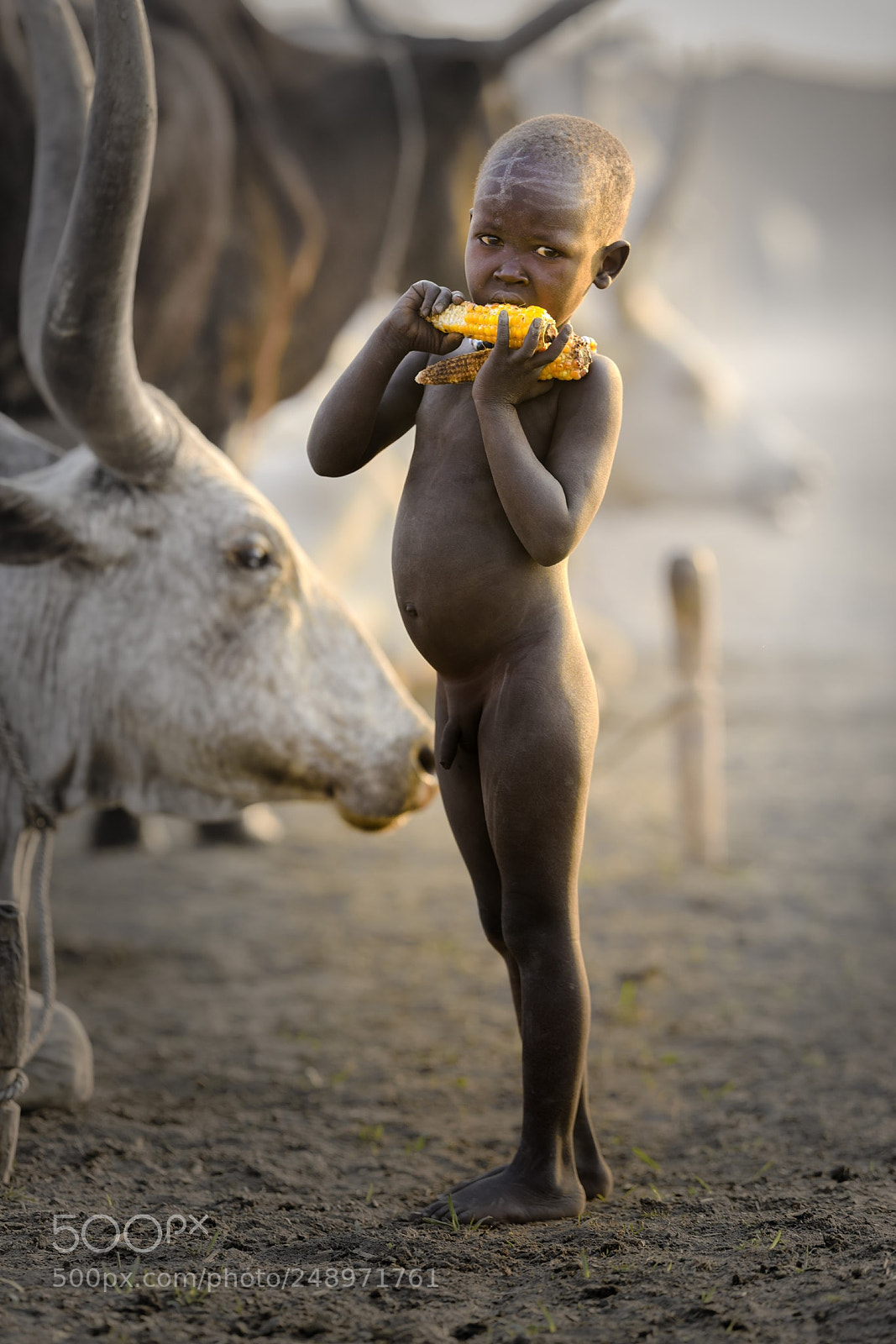 Nikon D810 sample photo. At home photography