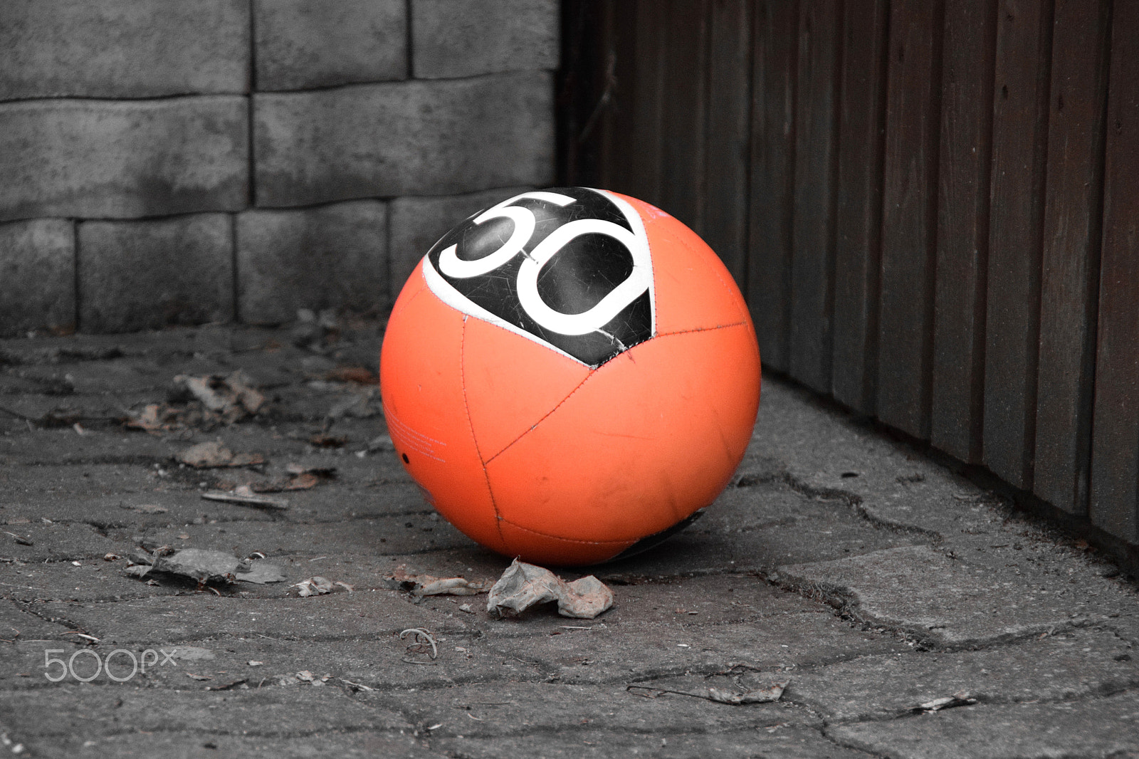Nikon D3300 sample photo. Orange ball photography