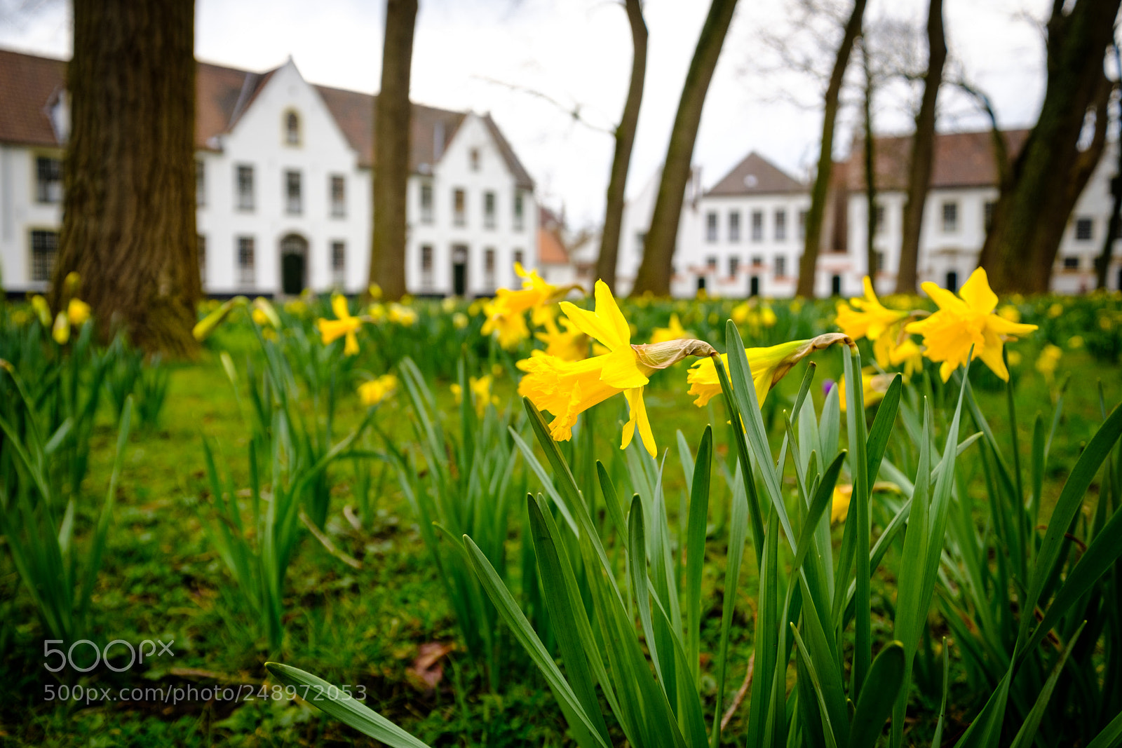 Fujifilm X-T20 sample photo. Walk in brugge photography