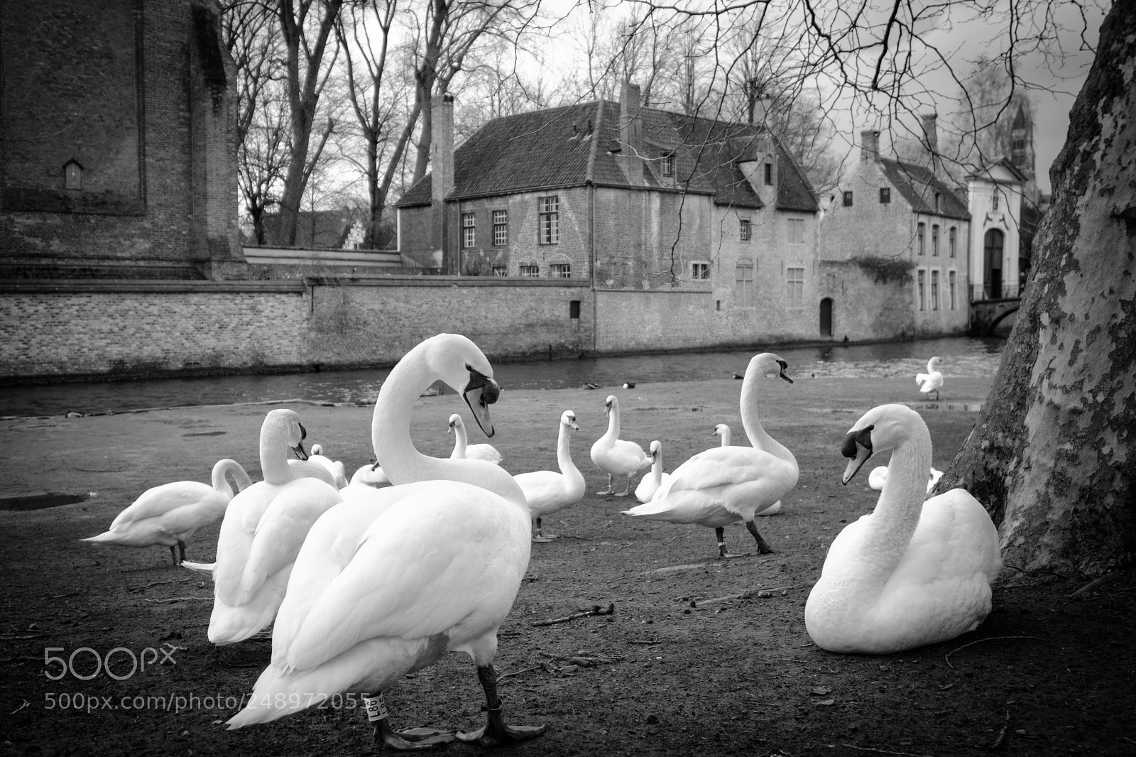 Fujifilm X-T20 sample photo. Walk in brugge photography