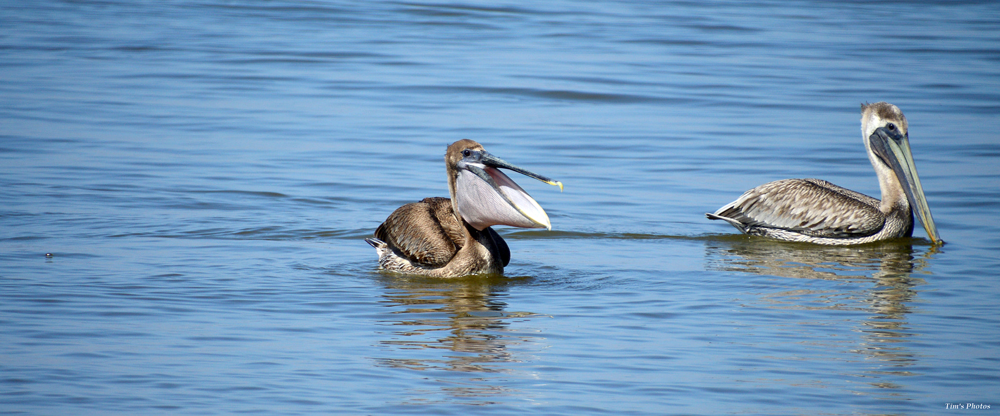 Nikon D3200 sample photo. Interesting pair photography