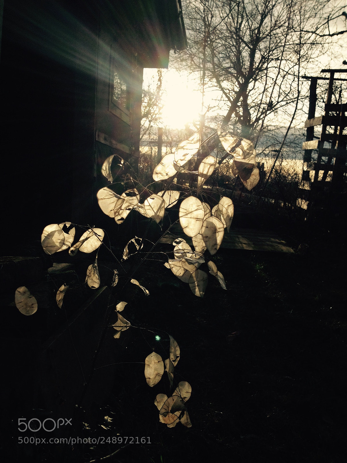 Apple iPhone 4S sample photo. Untitled photography