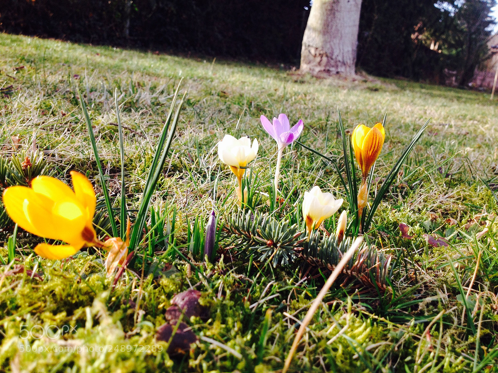 Apple iPhone 4S sample photo. Untitled photography
