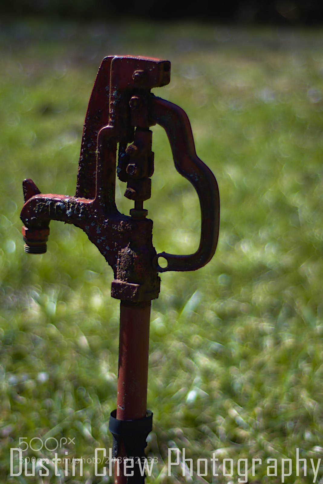Nikon D7200 sample photo. Dsc photography