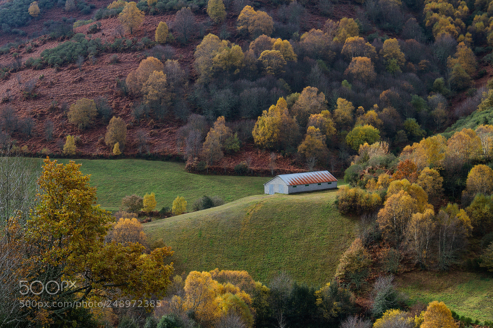 Canon EOS 7D sample photo. Autumn photography