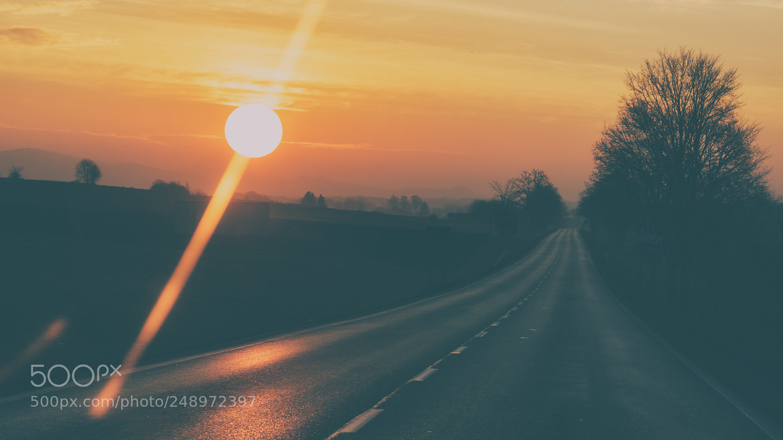 Canon EOS 80D sample photo. The road is long photography