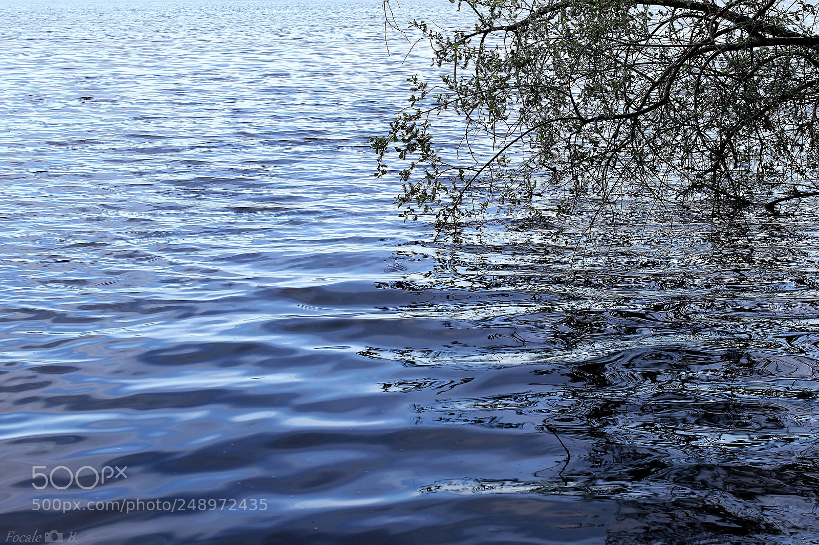 Canon EOS 1100D (EOS Rebel T3 / EOS Kiss X50) sample photo. Etang de cousseau photography