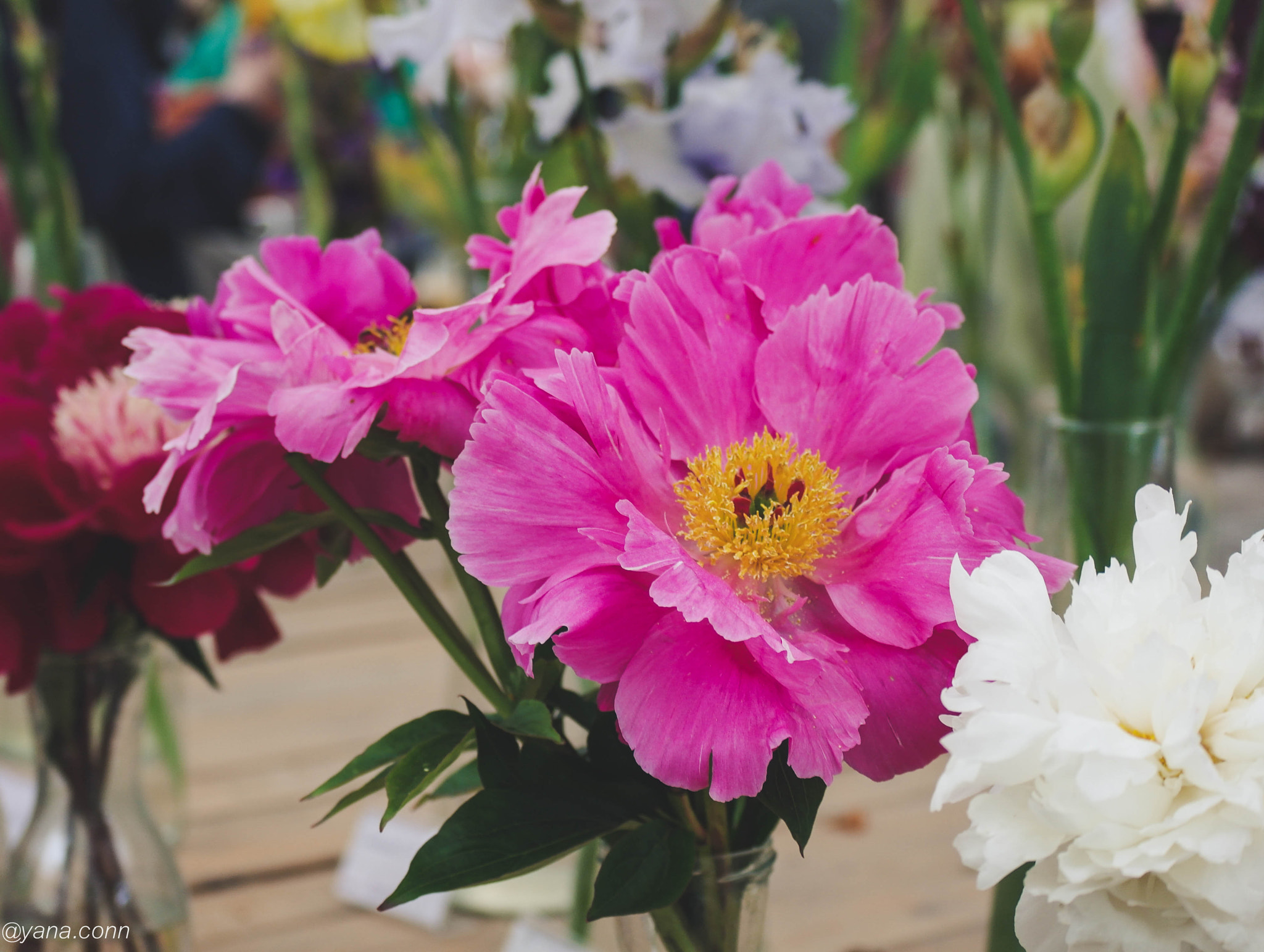 Samsung NX11 sample photo. Sam photography