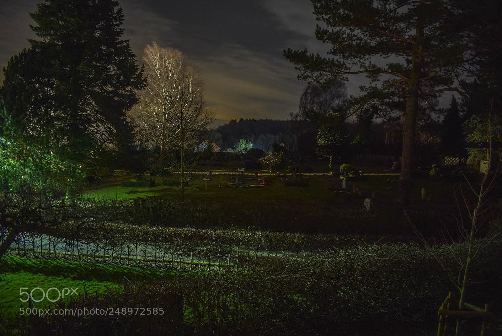 Nikon D3300 sample photo. Friedhof photography