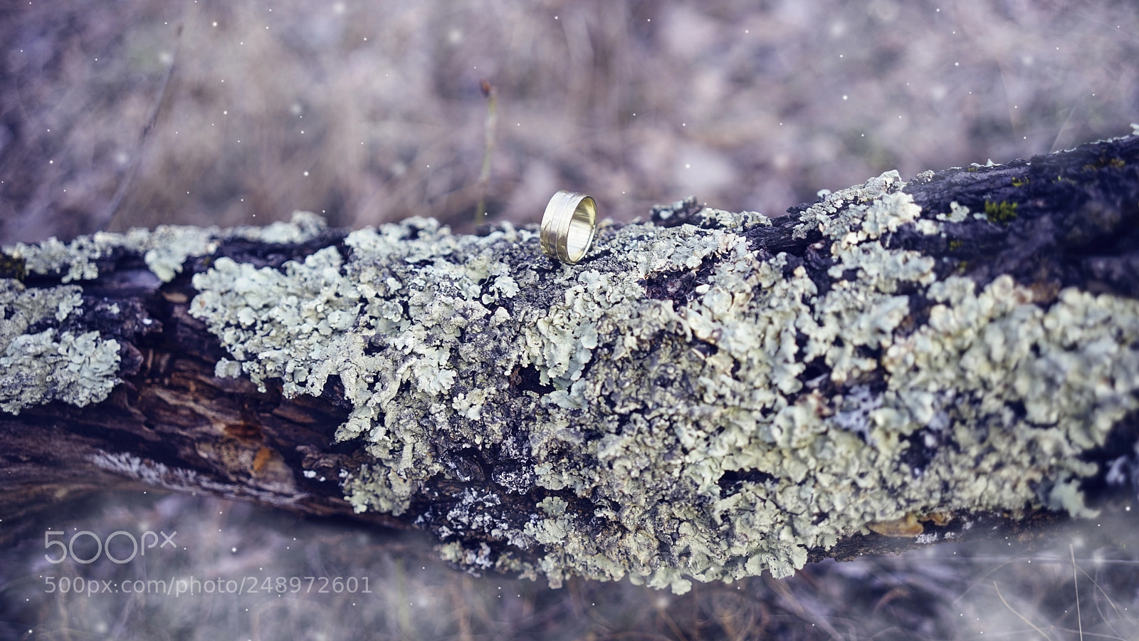 Sony a7 sample photo. Ring photography