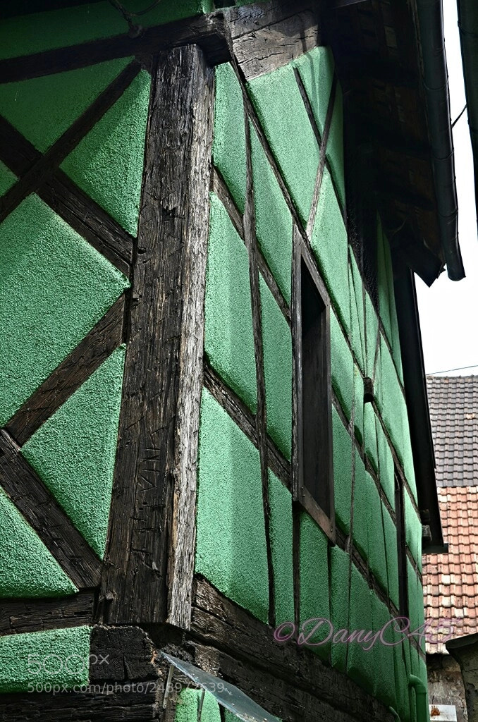 Nikon D5100 sample photo. Alsace (9) photography