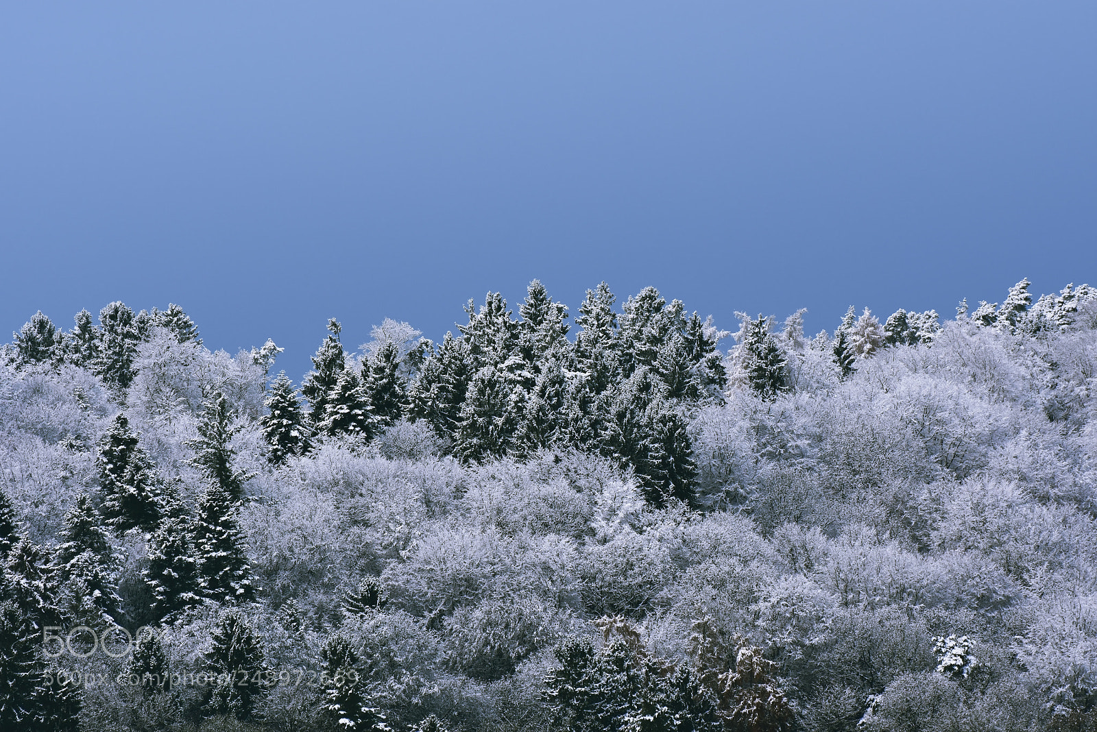 Nikon D7200 sample photo. Snow on the hill photography