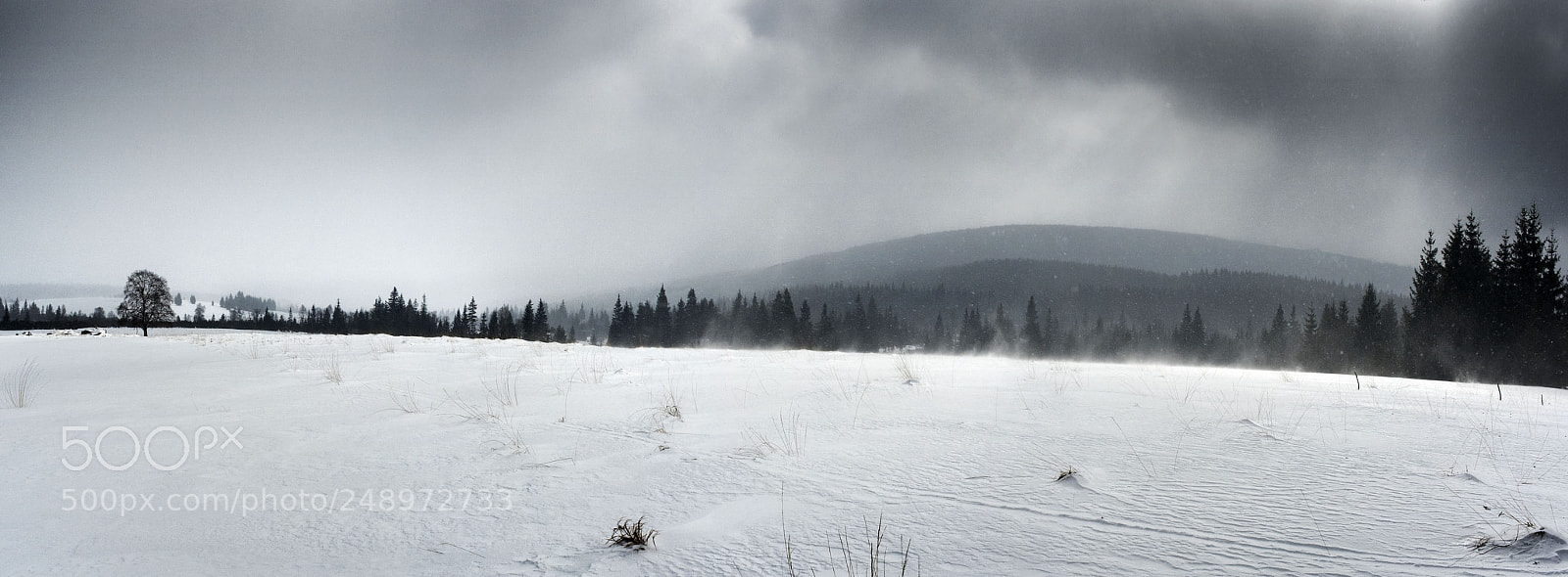 Canon EOS 7D Mark II sample photo. Snow photography