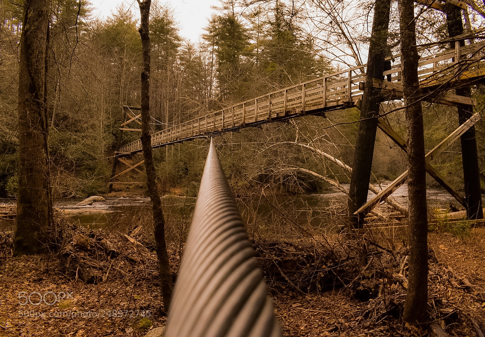 Nikon D5500 sample photo. Toccoa river swinging bridge photography
