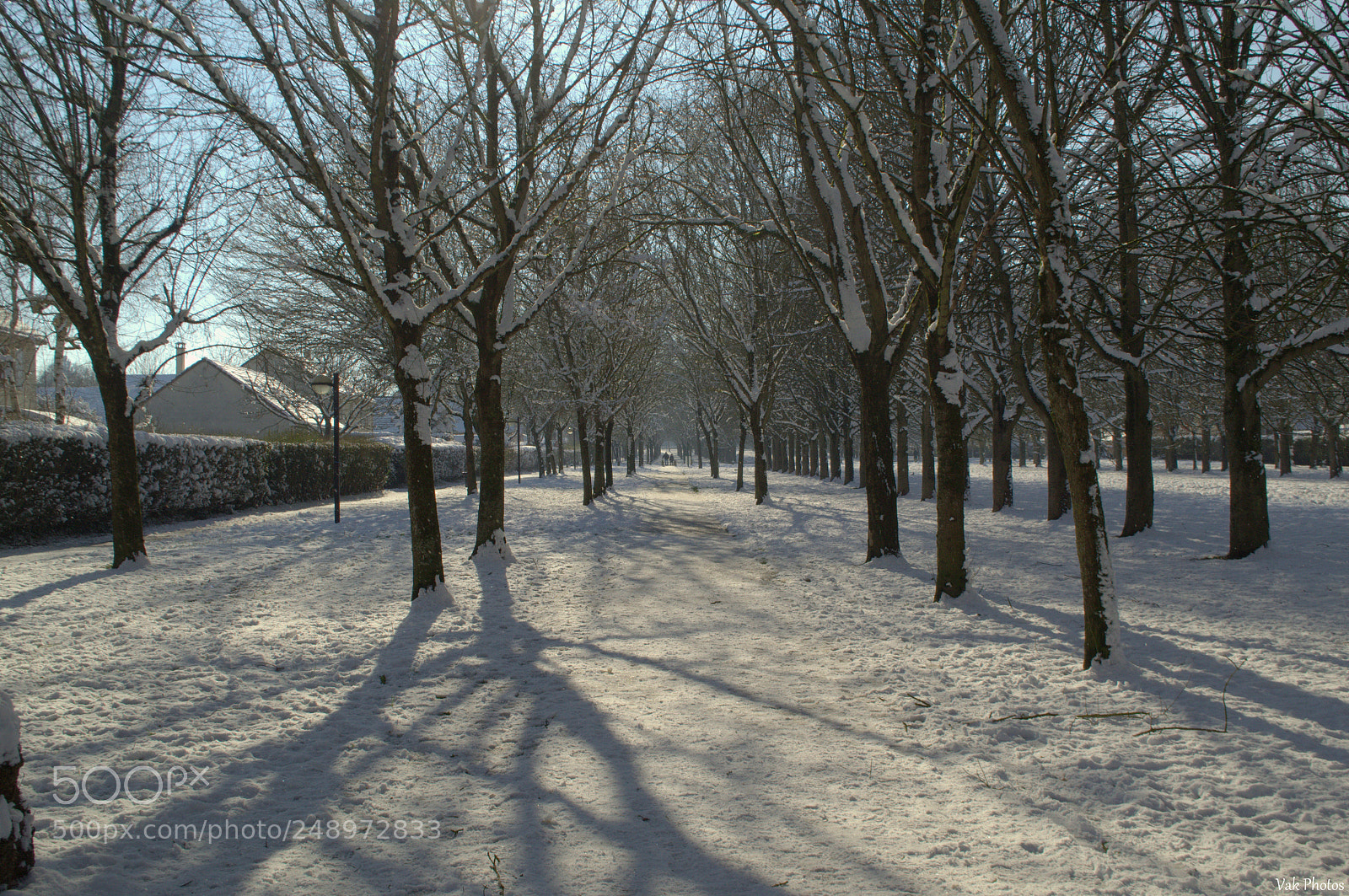 Nikon D3100 sample photo. Snow and shadow photography