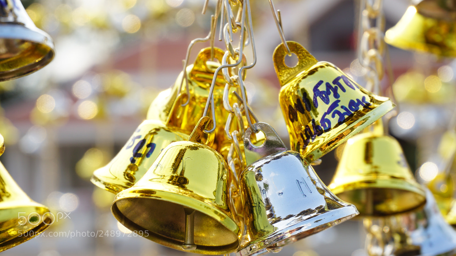 Sony a6000 sample photo. Dsc photography