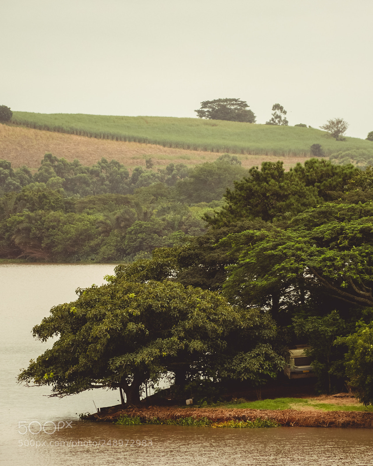 Nikon D7100 sample photo. Caravan forest photography
