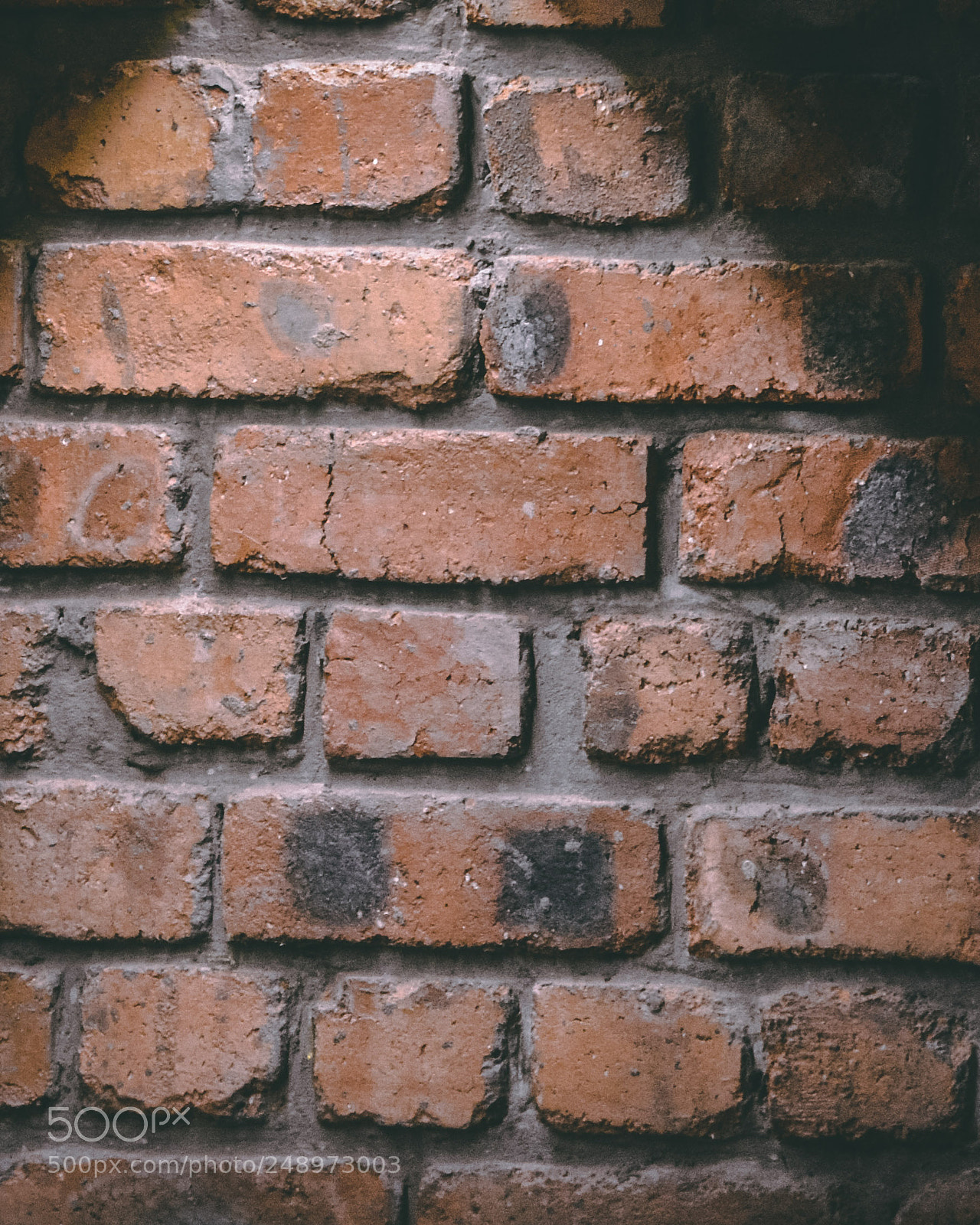 Nikon D7100 sample photo. Market texture 1 photography