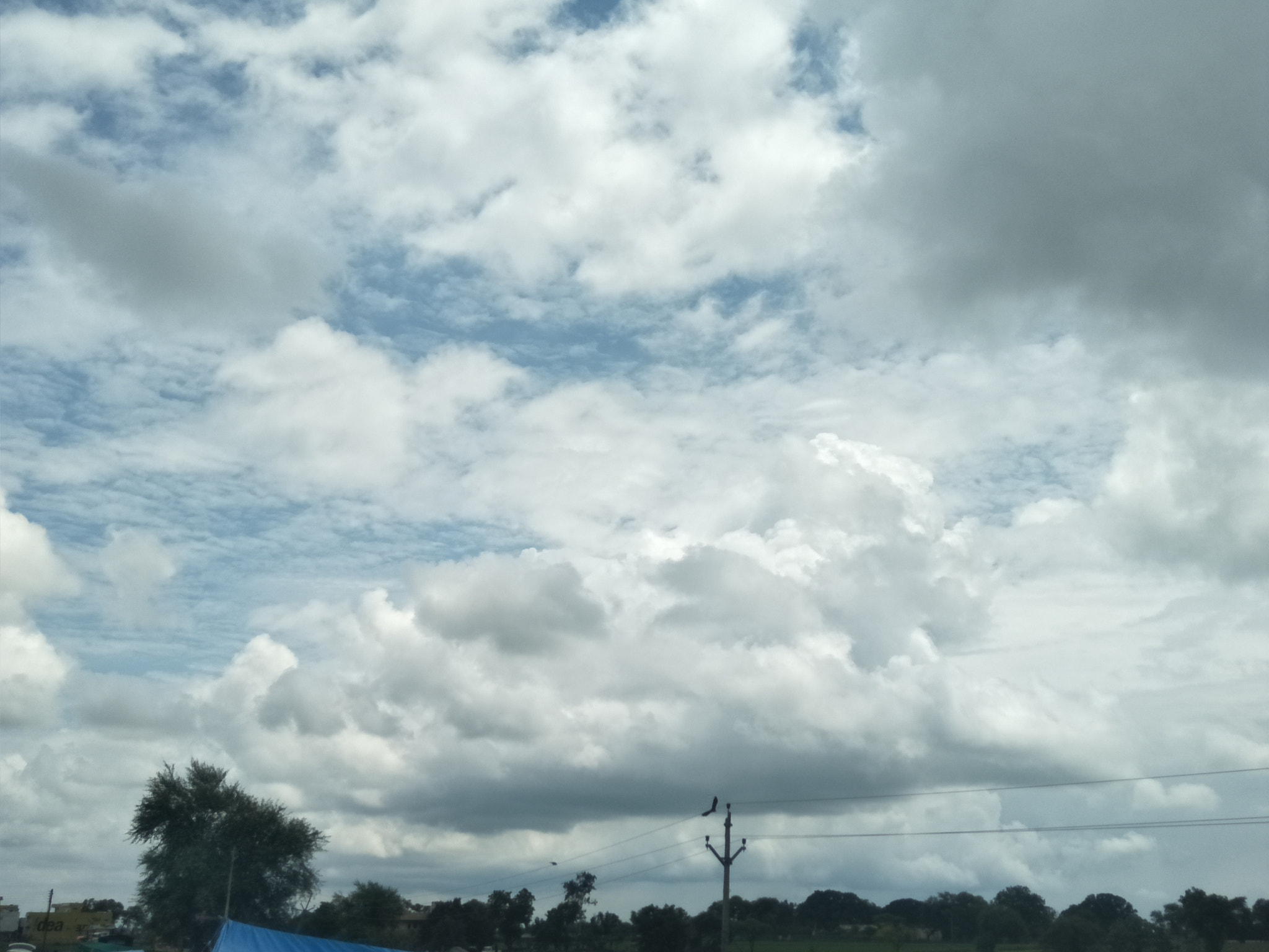 OPPO CPH1701 sample photo