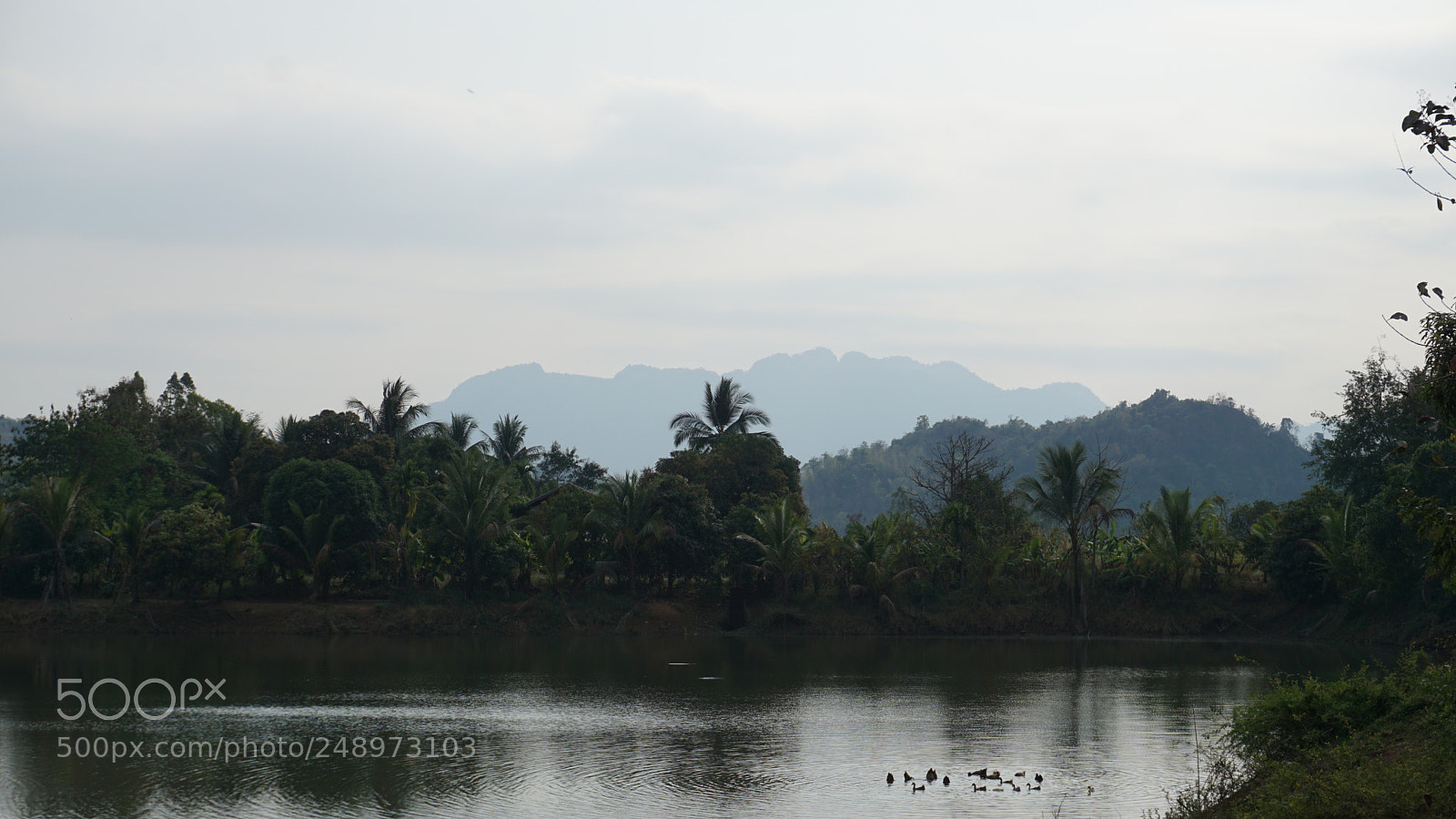Sony a6000 sample photo. Dsc photography