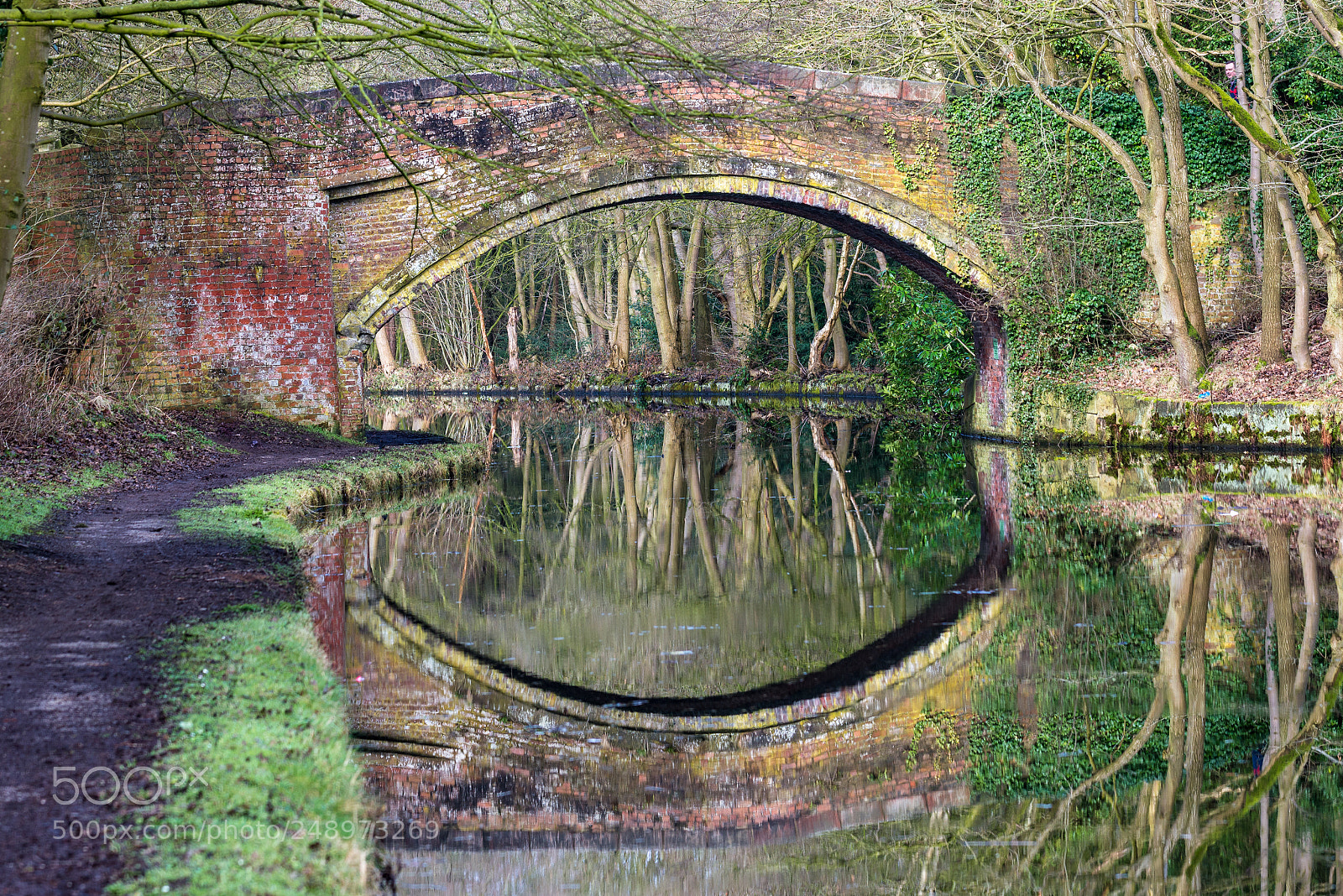 Nikon D610 sample photo. Old canal bridge, runcorn photography