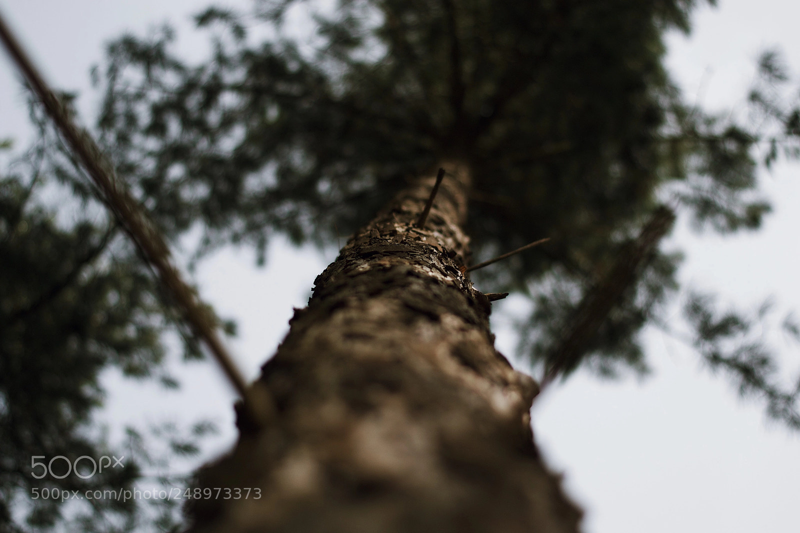 Nikon D3100 sample photo. Untitled photography