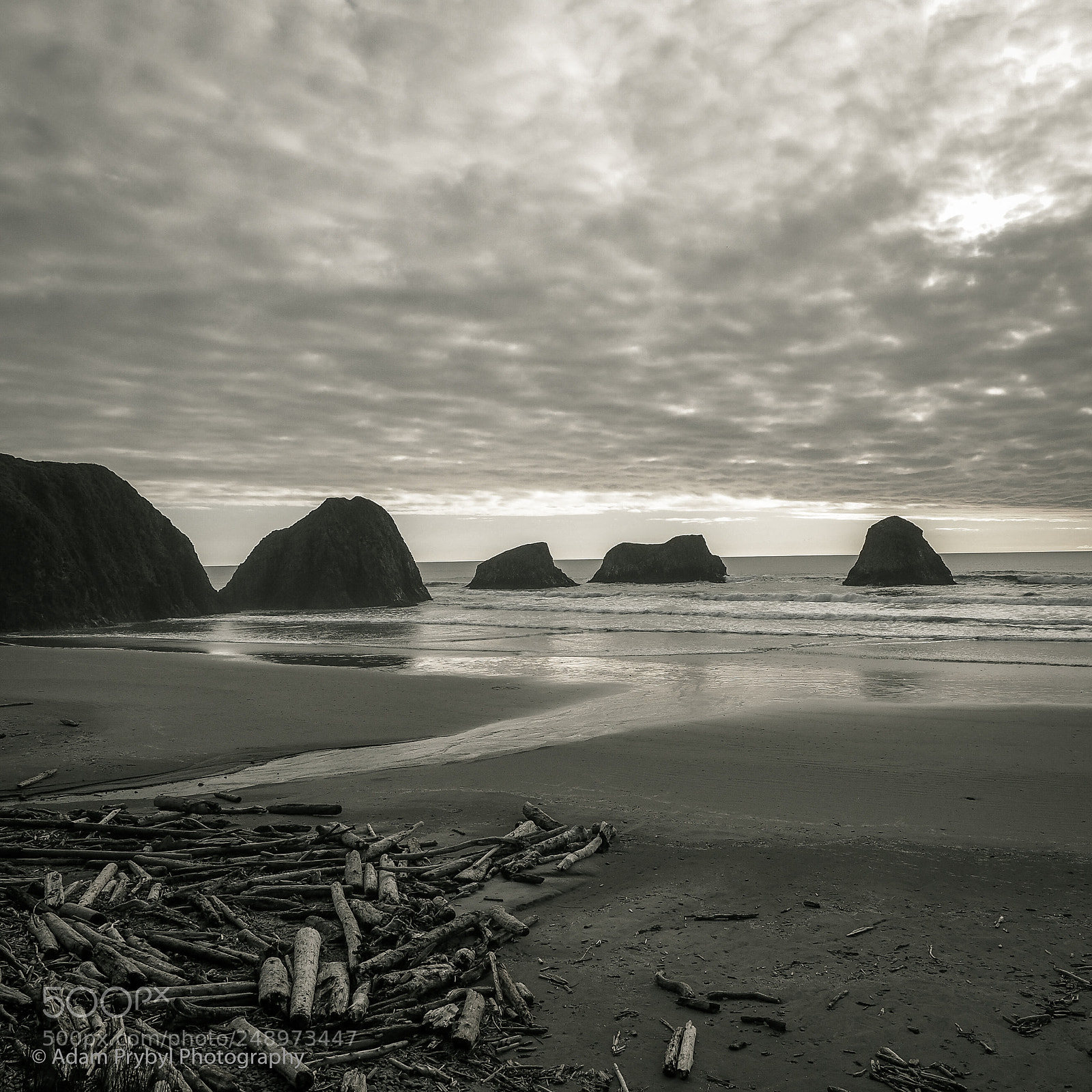 Olympus OM-D E-M5 II sample photo. Oregon coast photography