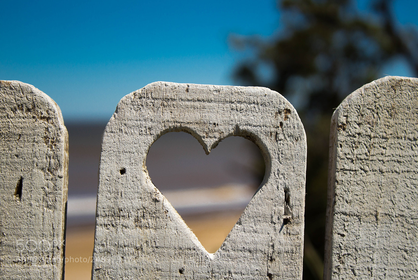 Canon EOS 1300D (EOS Rebel T6 / EOS Kiss X80) sample photo. Love is love photography