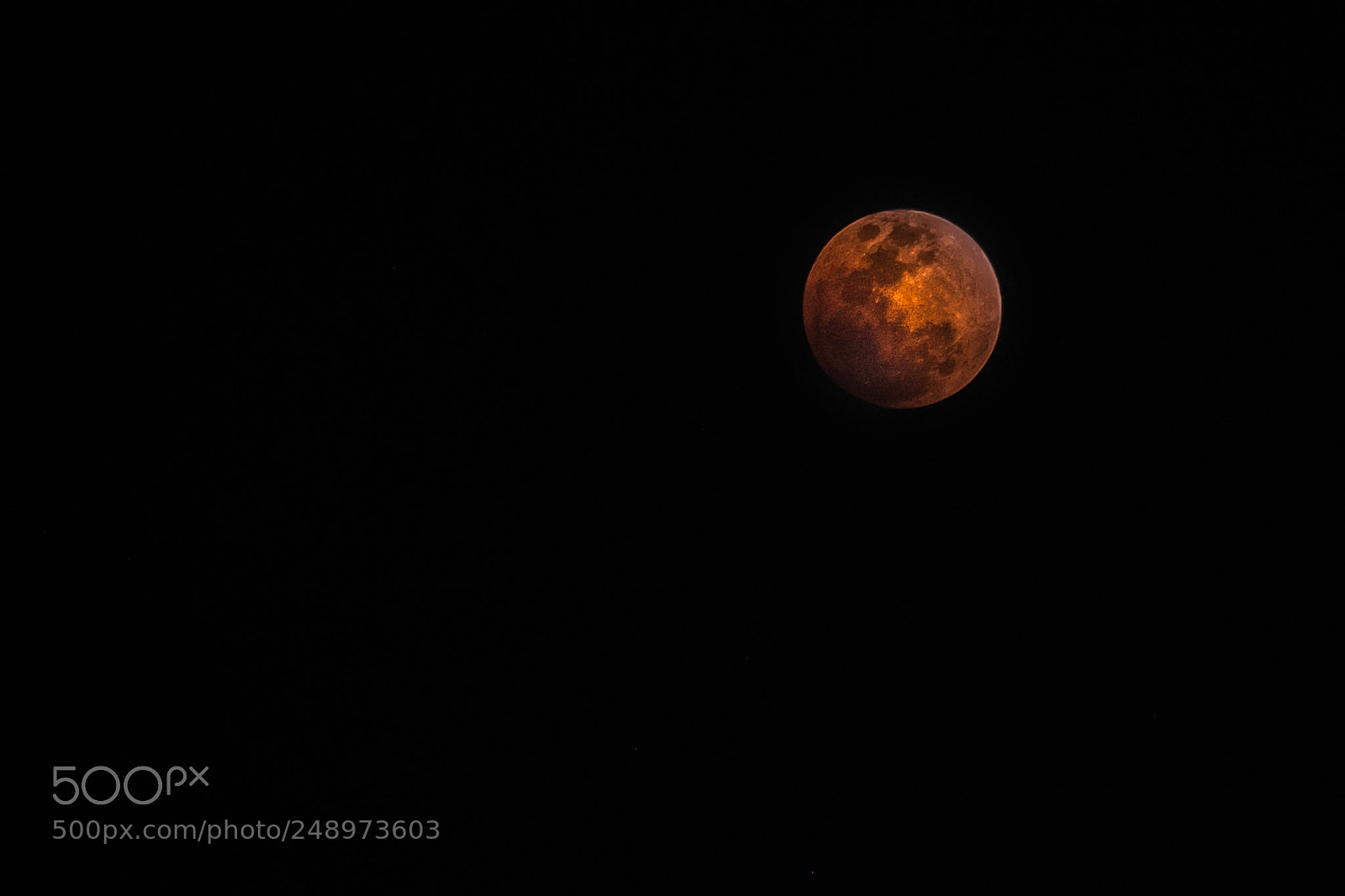 Fujifilm X-T1 sample photo. Night of the blood photography