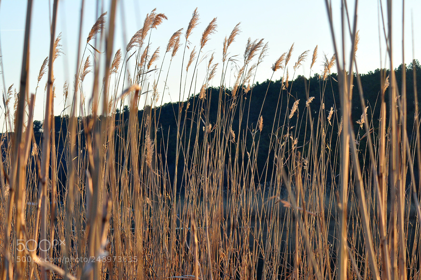 Nikon D5000 sample photo. Untitled photography