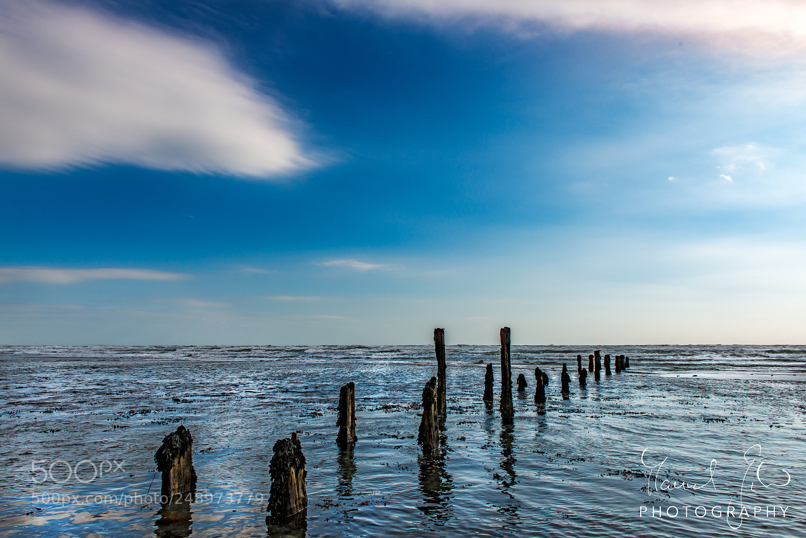 Nikon D800 sample photo. Remains photography